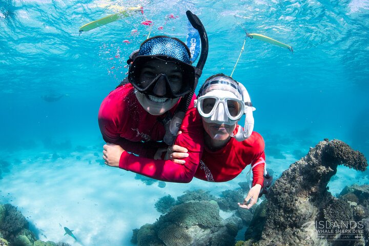 Whale Shark and Ningaloo Reef (Shoulder Season) Tour in Exmouth