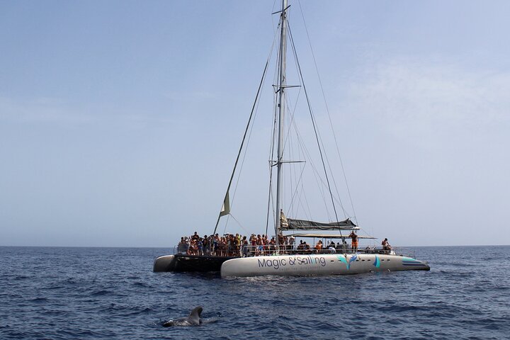 Fuerteventura: Magic Select Catamaran Trip with Food & Drinks