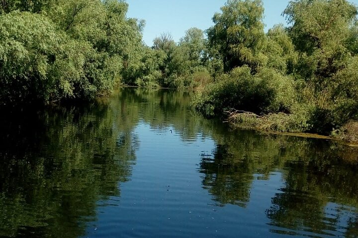 **Danube Delta Trips on the Camely Boat: Departing from Tulcea**