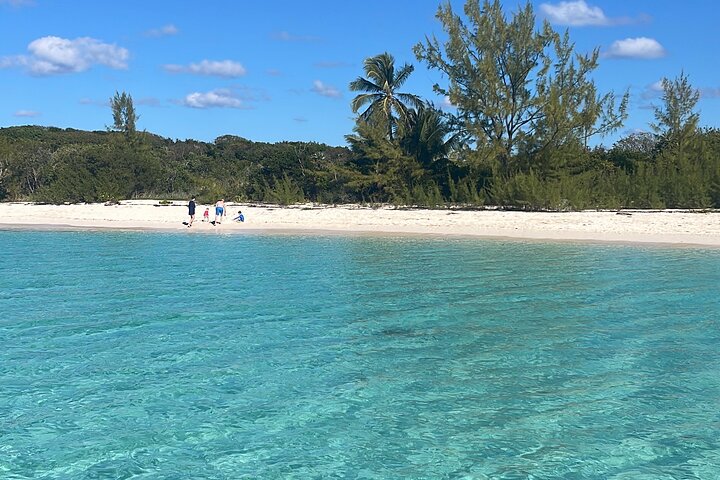 Nassau: Swimming Pigs And Snorkel With Turtles