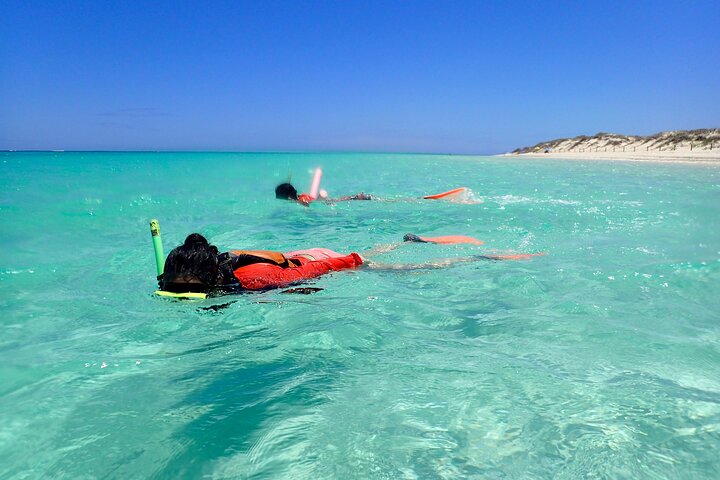 Ningaloo Reef Snorkel Adventure