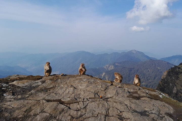 Chopta-Tungnath Trek, A Sunrise at 3700m in the Himalayas