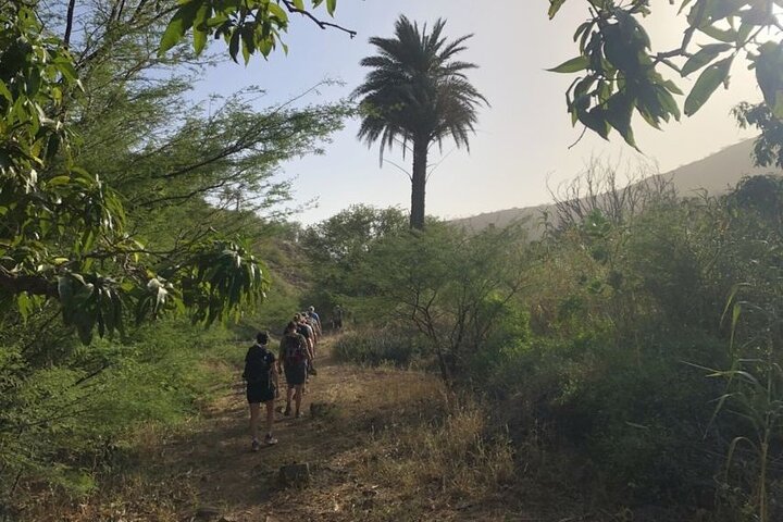 From Praia, Baobab Mysterious Tree, Green Valley & Old City Hike