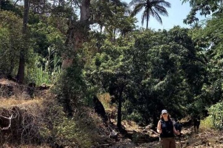 From Praia, Baobab Mysterious Tree, Green Valley & Old City Hike