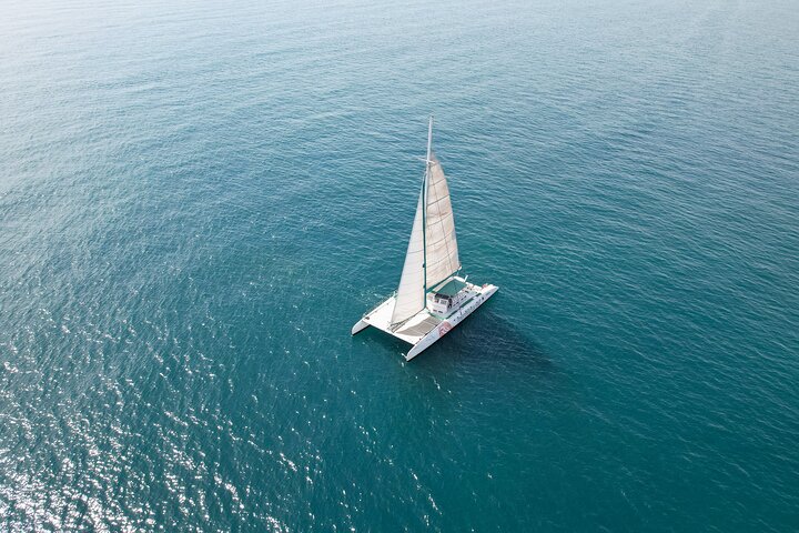 A day at sea from Dénia or Jávea with Barbecue aboard the Catamaran
