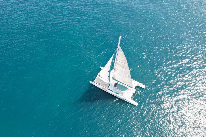 A day at sea from Dénia or Jávea with Barbecue aboard the Catamaran