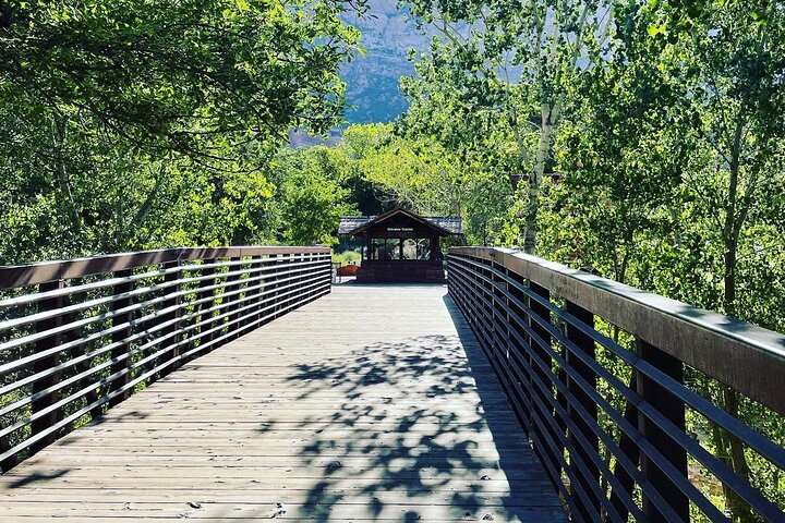 3 Hour Guided E Bike Tour in Zion National Park