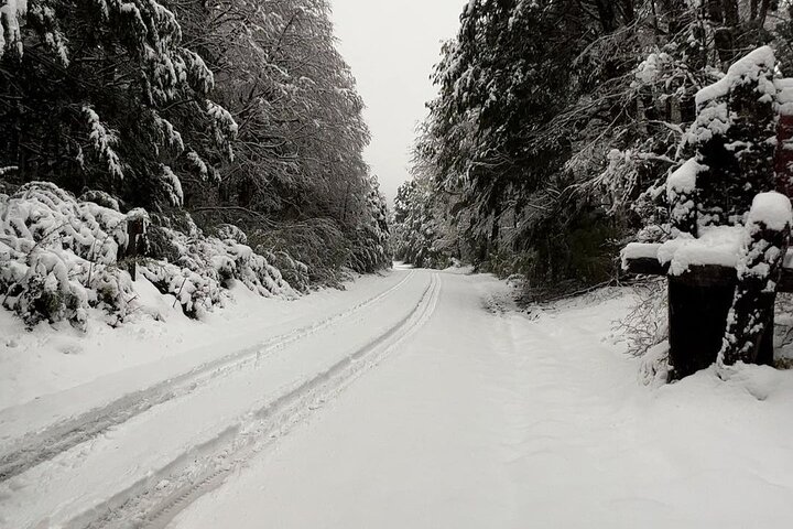 OneWay Journey: from Bariloche, Argentina to Puerto Varas, Chile