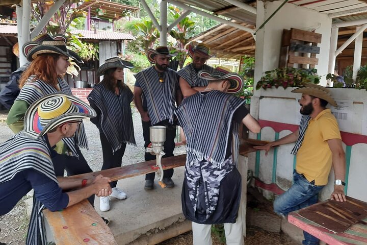 Coffee Farm and Santa Rosa Hot Springs Tour from Pereira or Armenia