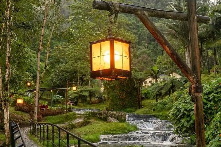 Coffee Farm and Santa Rosa Hot Springs Tour from Pereira or Armenia