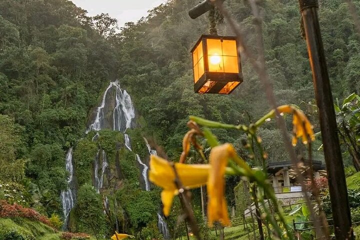 Coffee Farm and Santa Rosa Hot Springs Tour from Pereira or Armenia