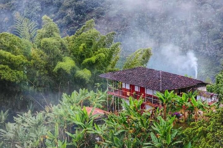 Coffee Farm and Santa Rosa Hot Springs Tour from Pereira or Armenia