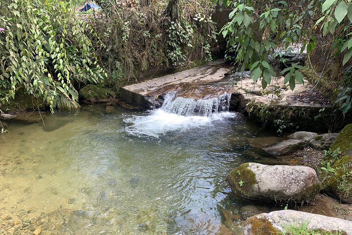 Coffee Farm and Santa Rosa Hot Springs Tour from Pereira or Armenia