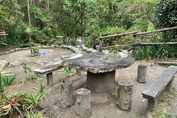 Coffee Farm and Santa Rosa Hot Springs Tour from Pereira or Armenia