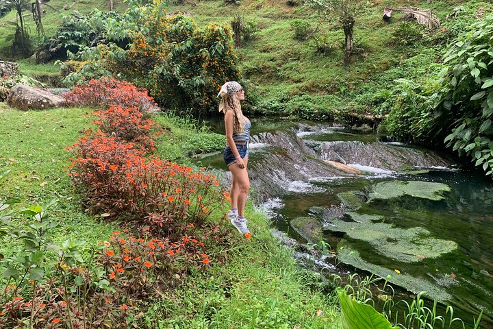 Coffee Farm and Santa Rosa Hot Springs Tour from Pereira or Armenia