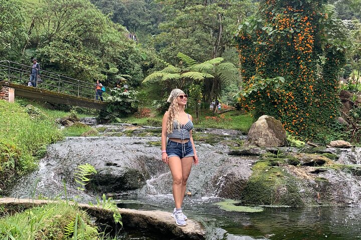 Coffee Farm and Santa Rosa Hot Springs Tour from Pereira or Armenia