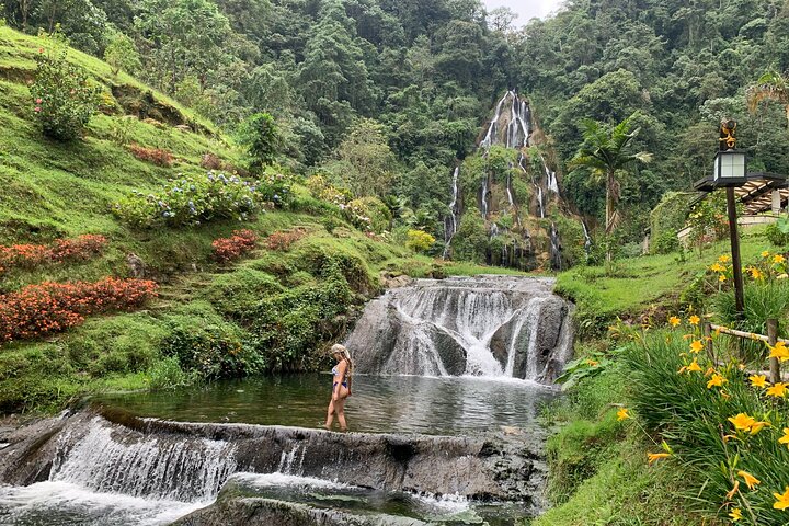 Coffee Farm and Santa Rosa Hot Springs Tour from Pereira or Armenia