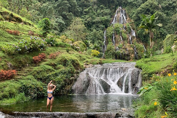 Coffee Farm and Santa Rosa Hot Springs Tour from Pereira or Armenia