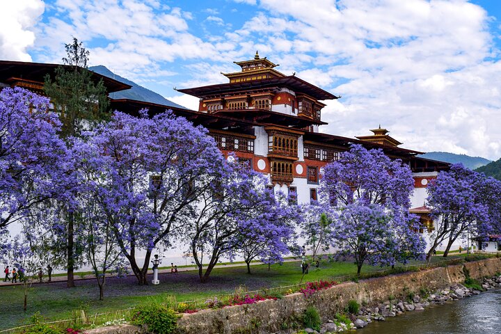 5 Day Glimpse of Bhutan | Thimphu, Punakha & Paro