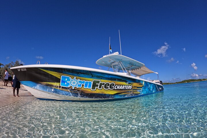 Exuma Island Hopping Swimming Pigs Tour with Lunch from Nassau