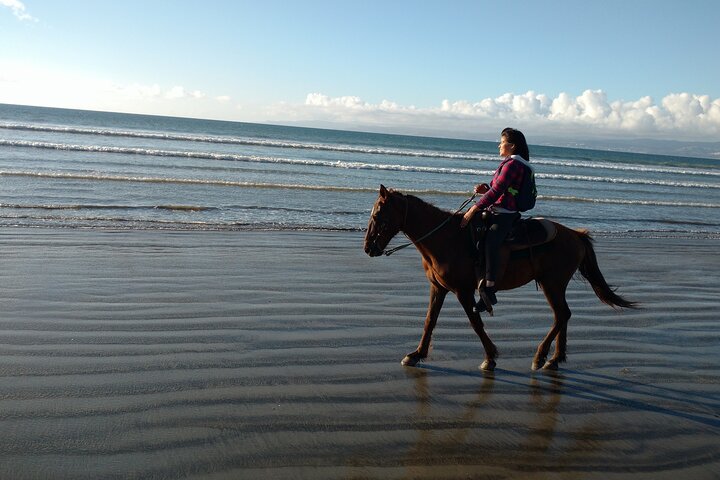 Private excursion, Horseback riding on the beach and La Bufadora