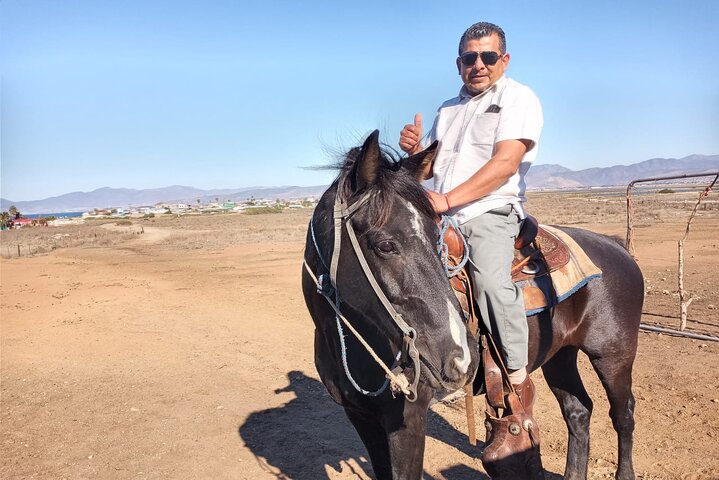 Private excursion, Horseback riding on the beach and La Bufadora