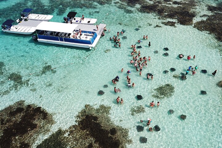 6h Ultimate Antigua Tour: Stingray City, Beach & Local Lunch