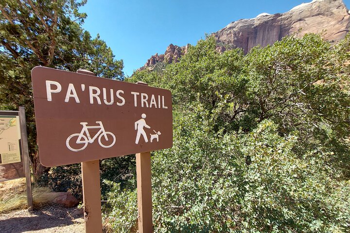3 Hour Guided E Bike Tour in Zion National Park