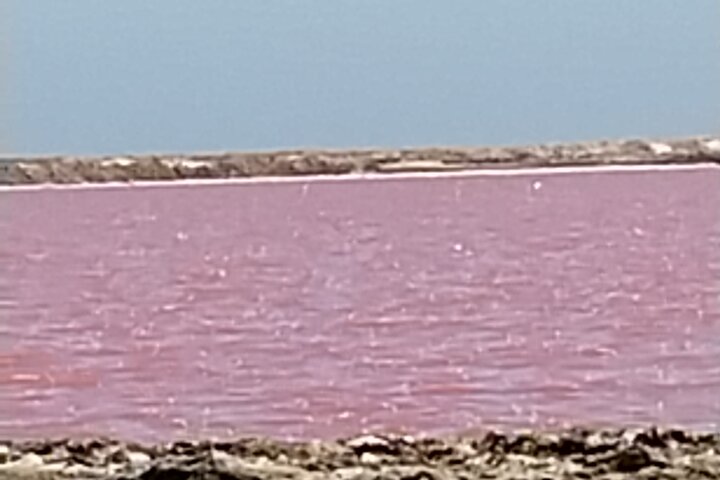 2 Days Guided Tour in Sossusvlei and Sandwich Harbor