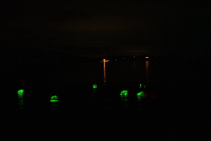 Bioluminescent Swim Experience in West Cork with Storytelling