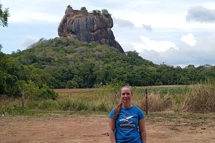 From Colombo: Sigiriya and Dambulla Day Trip and Safari
