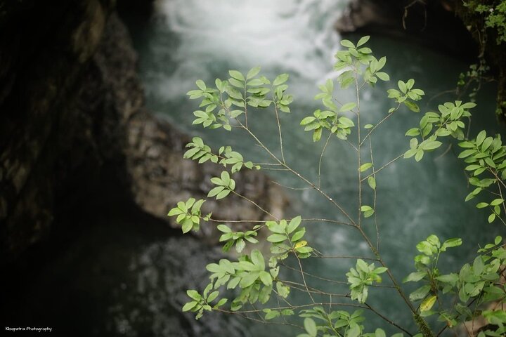 Private Canyon &Cave Tour from Batumi(Martvili,Okatse,Prometheus)