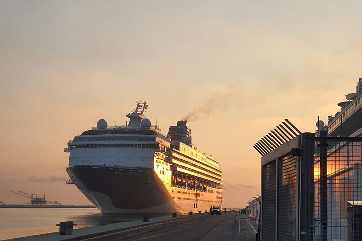 Private Transfer from Sakaiminato Cruise Port to Osaka city