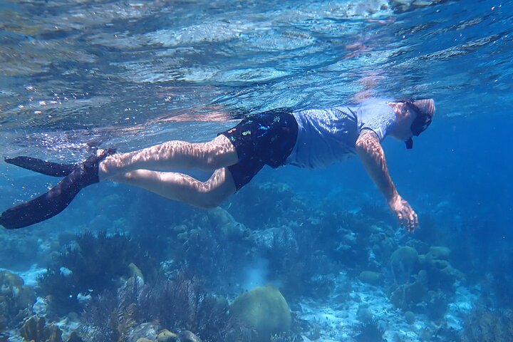 Klein Bonaire Marine Park Snorkeling Excursion