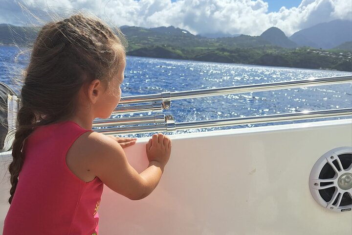 Discovery of dolphins on the Caribbean coast