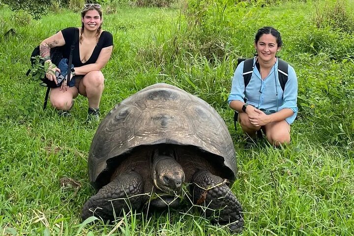 Giant Tortoises Tour, Lava Tunnels & Stop at Los Gemelos Craters”