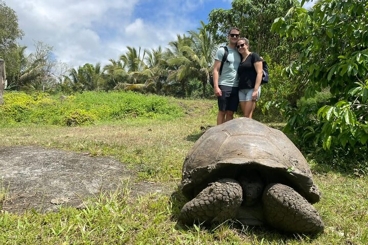 Giant Tortoises Tour, Lava Tunnels & Stop at Los Gemelos Craters”