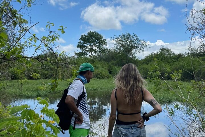 Giant Tortoises Tour, Lava Tunnels & Stop at Los Gemelos Craters”
