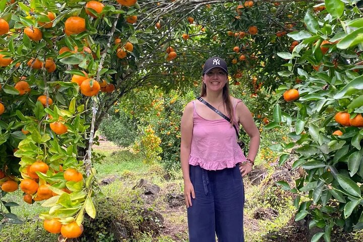 Giant Tortoises Tour, Lava Tunnels & Stop at Los Gemelos Craters”