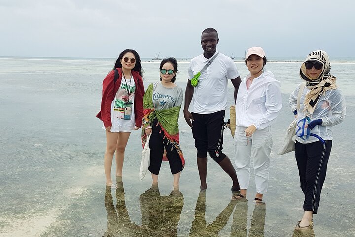 A Half Day Private Dolphins And Snorkeling Tour To Mnemba Island