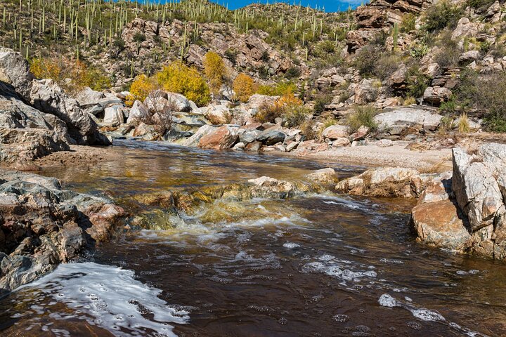 Saguaro National Park Self-Guided Driving Audio Tour