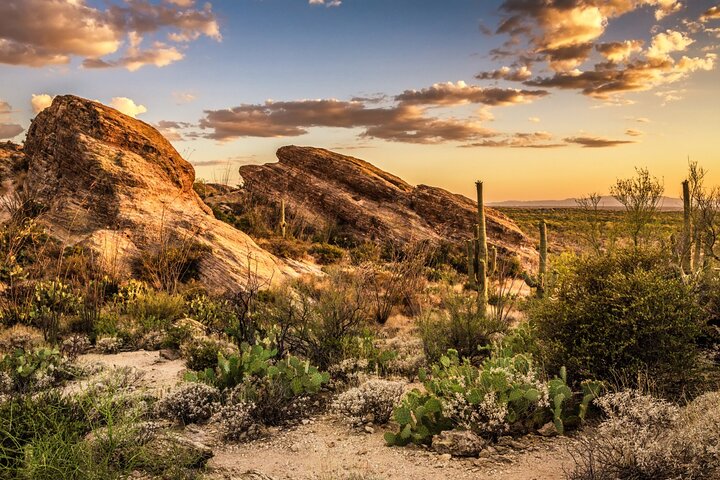 Saguaro National Park Self-Guided Driving Audio Tour