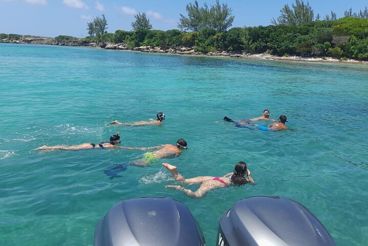Private Nassau Rose Island Boat Tour Swimming Pigs, Turtles