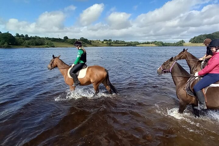 Wicklow Mountains Horse Trekking