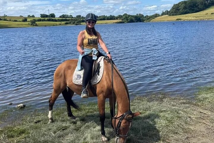 Wicklow Mountains Horse Trekking