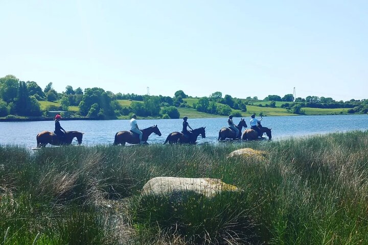 Wicklow Mountains Horse Trekking