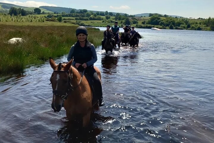 Wicklow Mountains Horse Trekking