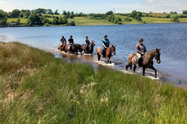 Wicklow Mountains Horse Trekking