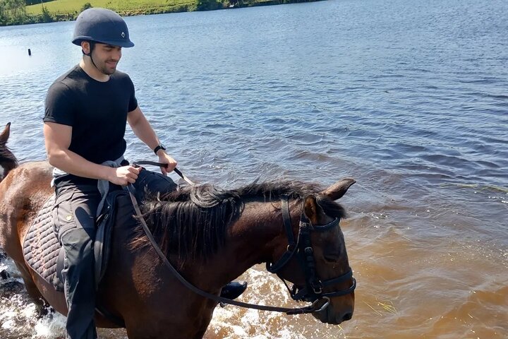 Wicklow Mountains Horse Trekking