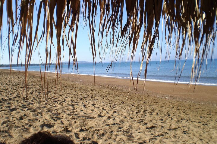 Ancient Olympia & Kourouta Beach - All Included Tour